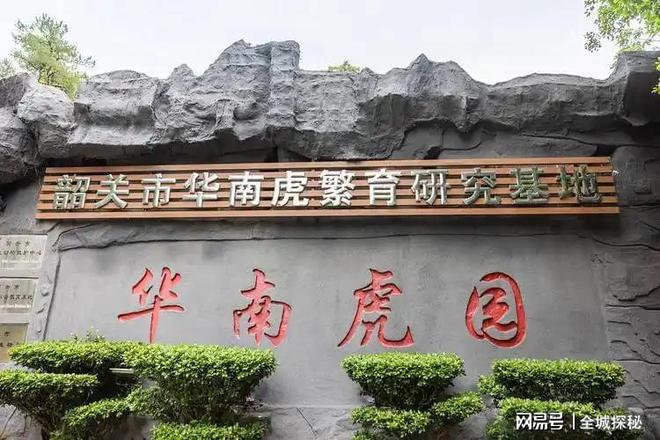 世界目前仅有约200只华南虎除我国外居然还有20多只在非洲？(图16)