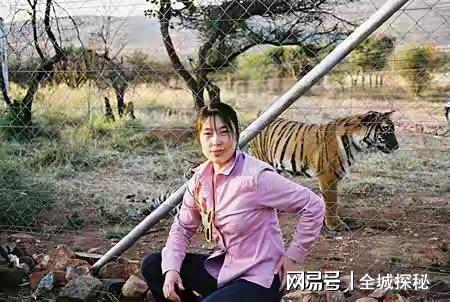 世界目前仅有约200只华南虎除我国外居然还有20多只在非洲？(图18)