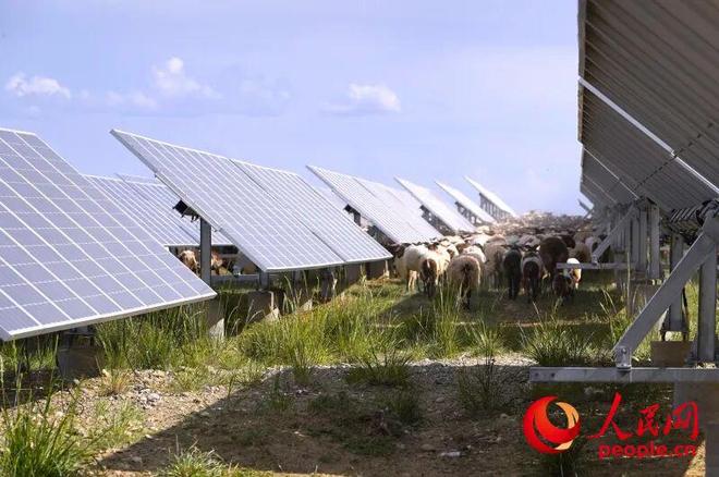 【央媒看青海】数云数电数青山(图3)