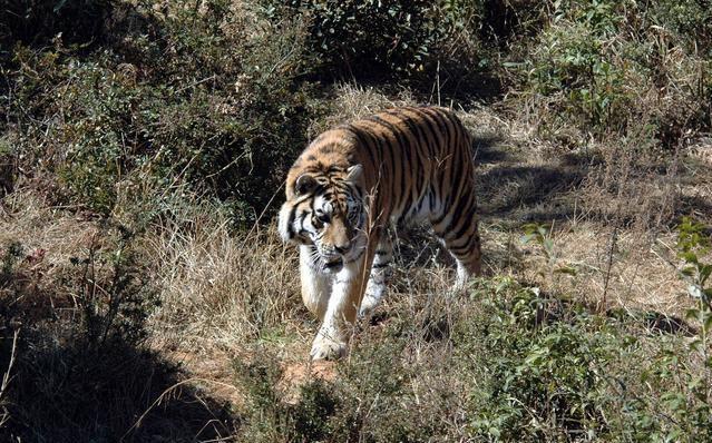 (中国)官方网站IOS安卓手机APP下载(图1)