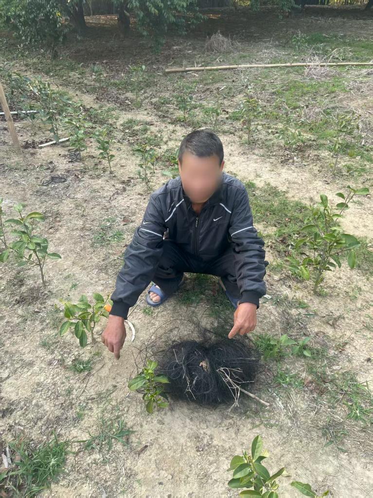 巧设网者终自缚 跨省护鸟机制织密“法网”(图2)