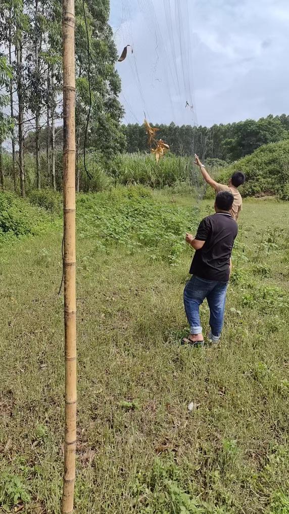 巧设网者终自缚 跨省护鸟机制织密“法网”(图1)