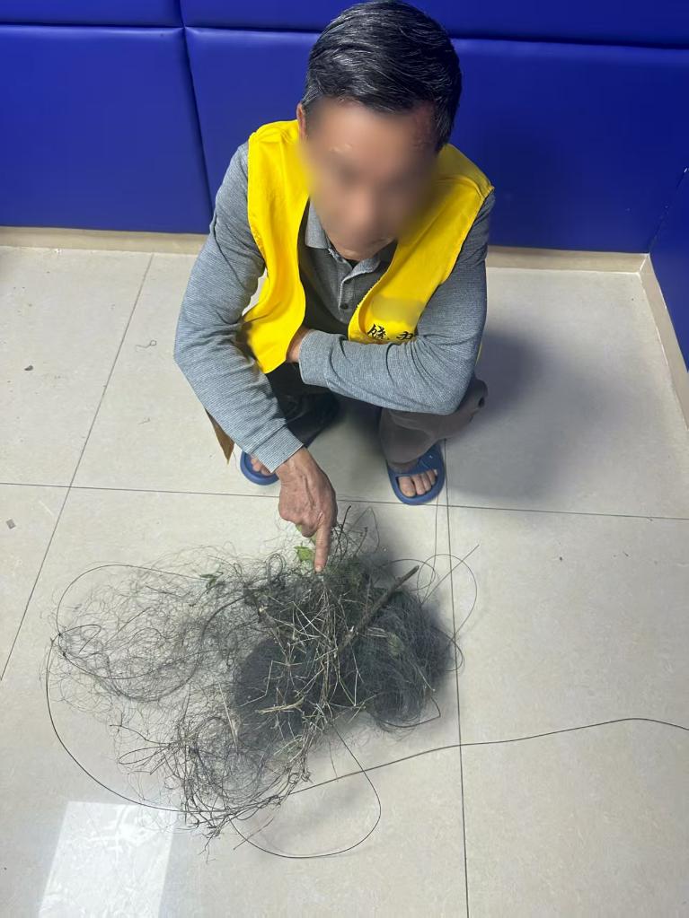 巧设网者终自缚 跨省护鸟机制织密“法网”(图3)