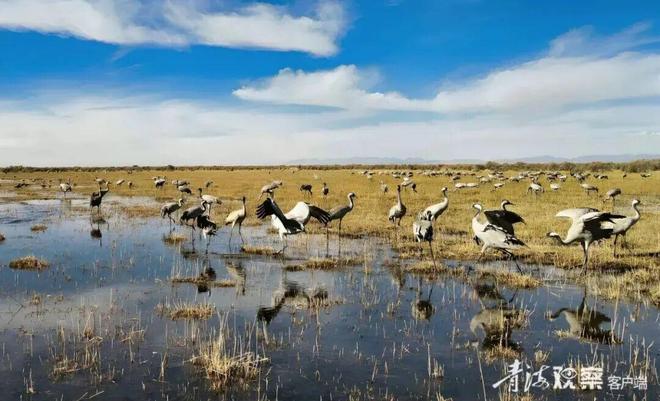 【江源近观】深情守护让一江清水向东流(图2)