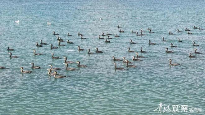 【江源近观】深情守护让一江清水向东流(图4)