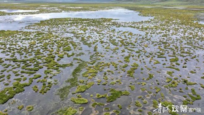 【江源近观】深情守护让一江清水向东流(图7)