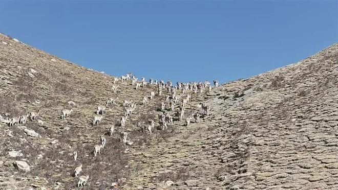 【江源近观】深情守护让一江清水向东流(图5)