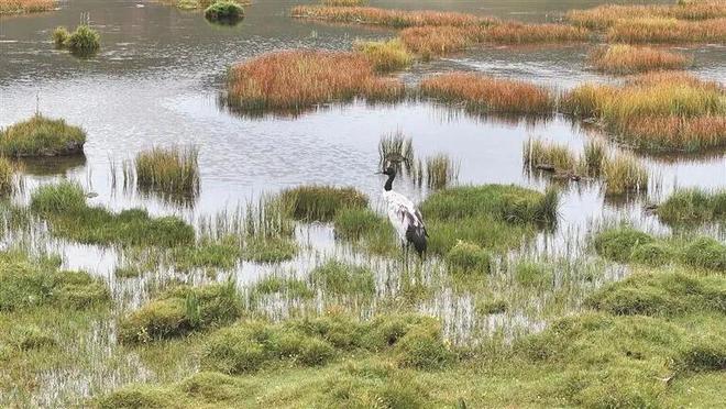 【江源近观】深情守护让一江清水向东流(图3)