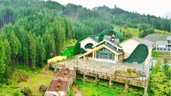 大熊猫国家公园最新进展！守护“滚滚”的家园(图6)