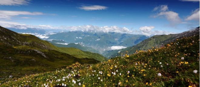 大熊猫国家公园最新进展！守护“滚滚”的家园(图4)