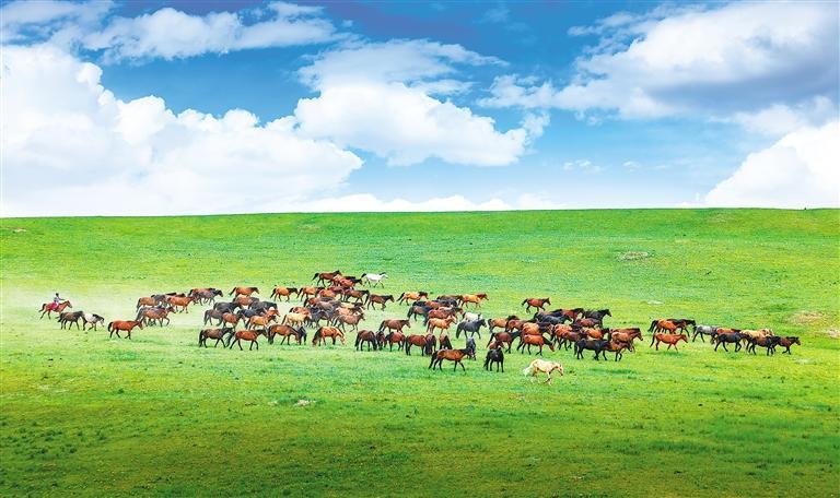 满目锦绣气象新——甘肃在筑牢生态屏障上展示新作为-新华网(图2)