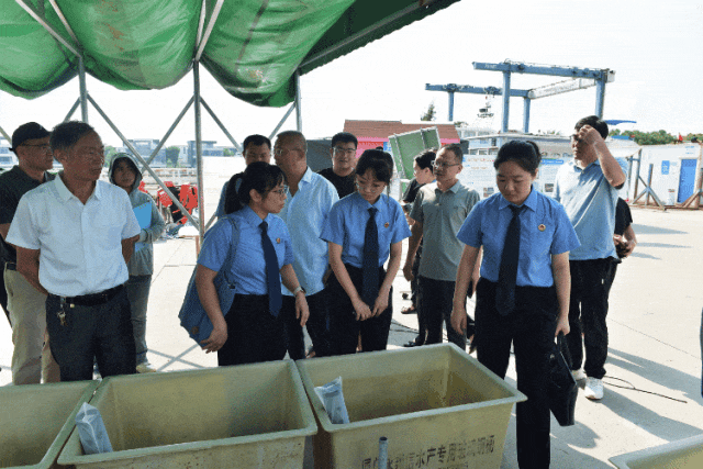 检护碧海鱼跃和平 695万尾文昌鱼在厦放流(图2)