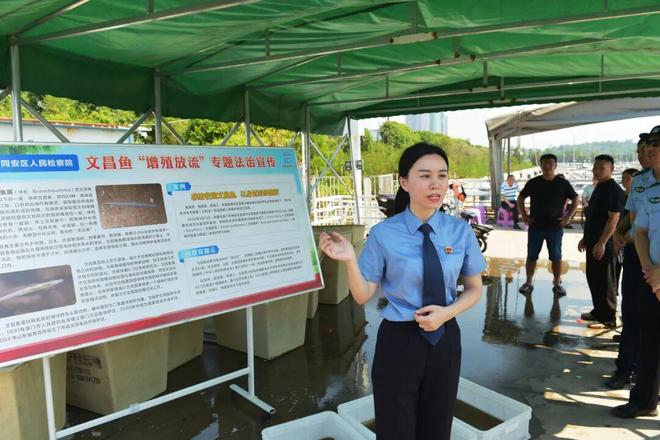 检护碧海鱼跃和平 695万尾文昌鱼在厦放流(图4)