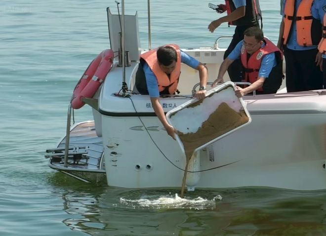 检护碧海鱼跃和平 695万尾文昌鱼在厦放流(图3)