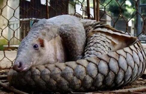 2024年中国对外直接投资流量为1922亿美元连续13年列全球前三(图1)