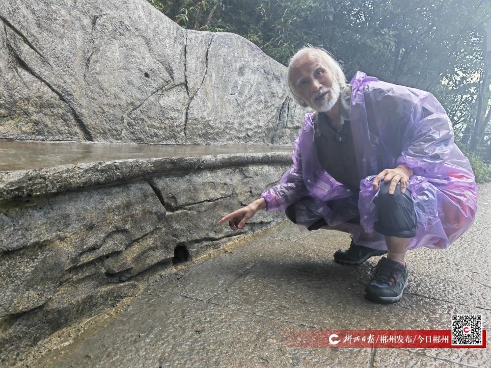 宜章县溶家洞国有林场为世界濒危动物建立迁徙通道 莽山烙铁头蛇获“VIP待遇”！(图2)