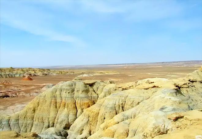 因盗猎而灭绝1985年我国引进5匹“还乡”如今怎样了？(图2)