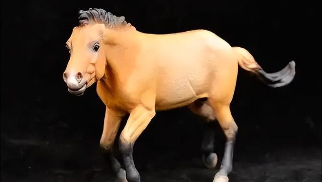 因盗猎而灭绝1985年我国引进5匹“还乡”如今怎样了？(图11)