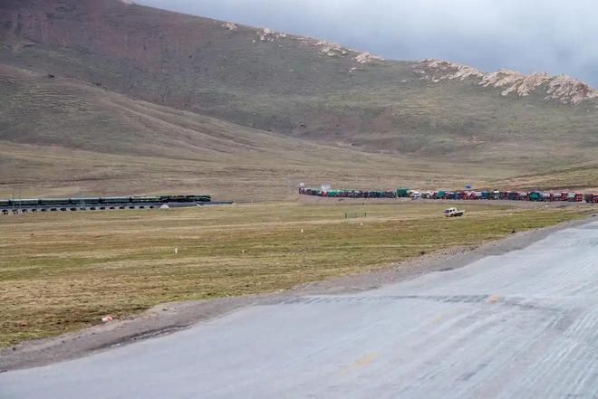 接力救助24天！青海民警开车960公里紧急送医国内仅2000来只(图2)