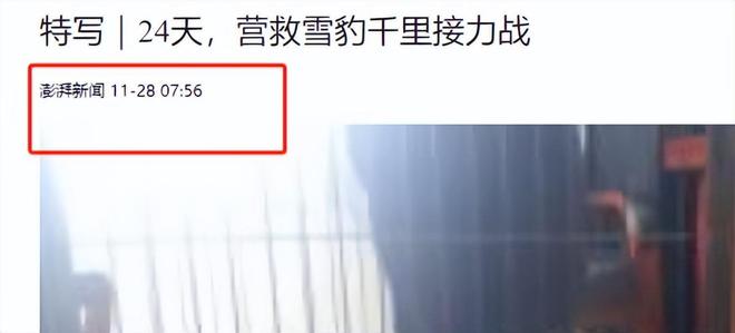 接力救助24天！青海民警开车960公里紧急送医国内仅2000来只(图7)