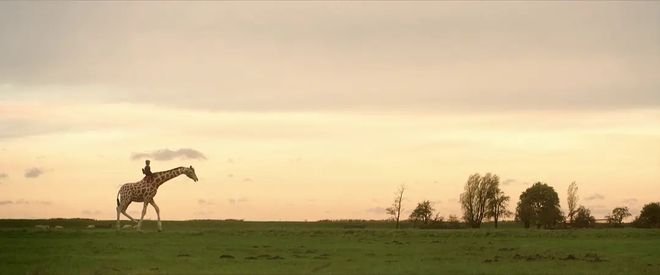 紫禁城里的长颈鹿(图2)