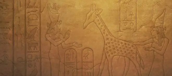 紫禁城里的长颈鹿(图3)