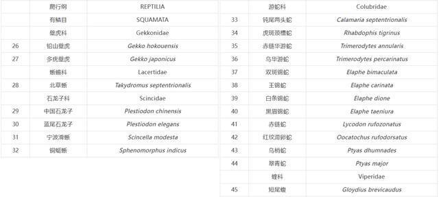 时隔32年黄鼠狼升级为重点保护动物上海新名录里竟有那么多“老朋友”(图2)