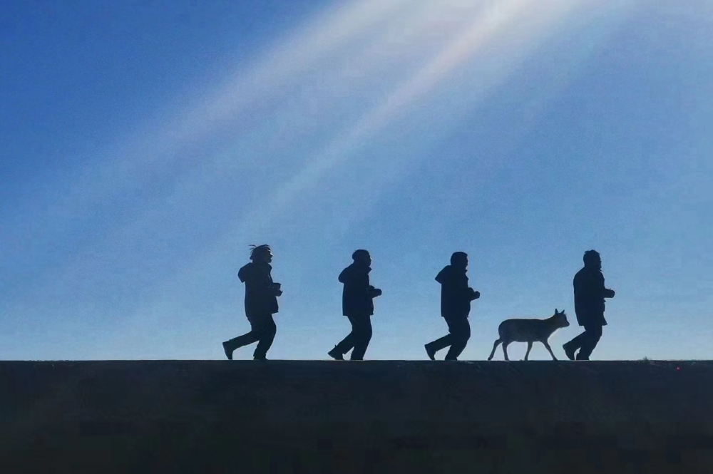 【联播快讯】全国珍稀野生动植物种群总体稳中有升(图1)