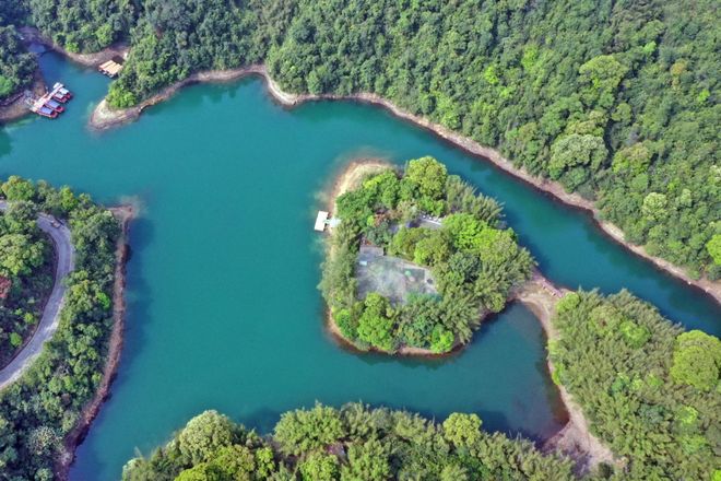 穿山甲鼎湖山自然生态的“晴雨表”丨世界生物圈保护区大会(图1)