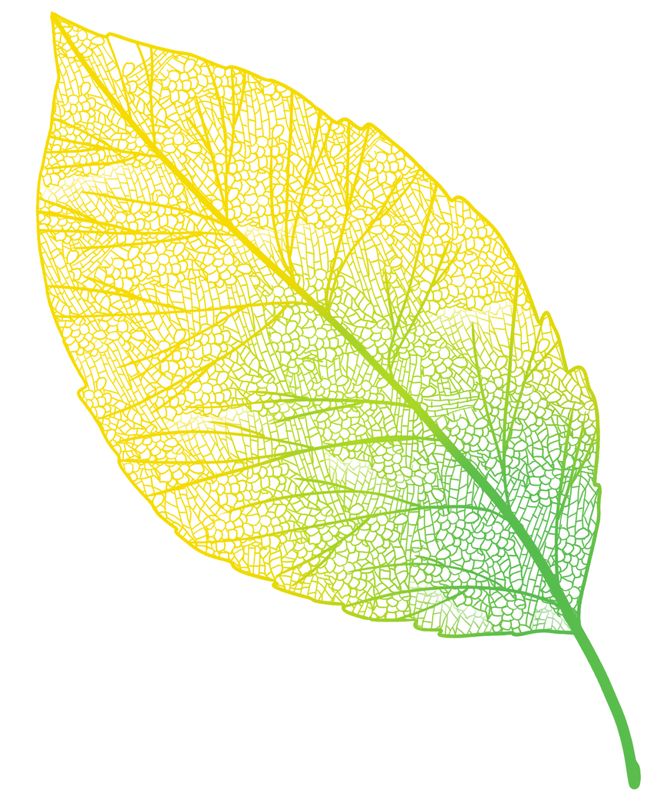 穿山甲鼎湖山自然生态的“晴雨表”丨世界生物圈保护区大会(图3)