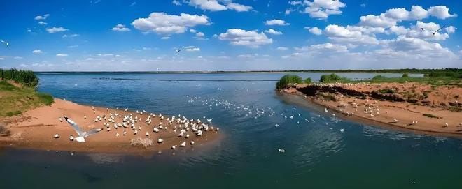2016年预测十年内干涸我国最大的沙漠淡水湖如今咋样了？(图4)