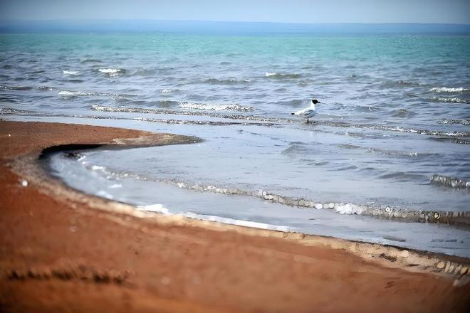 2016年预测十年内干涸我国最大的沙漠淡水湖如今咋样了？(图2)