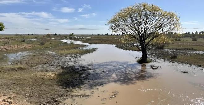 2016年预测十年内干涸我国最大的沙漠淡水湖如今咋样了？(图3)