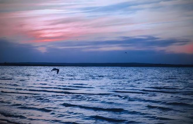 2016年预测十年内干涸我国最大的沙漠淡水湖如今咋样了？(图10)