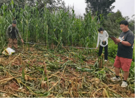 田心乡：迅速响应群众诉求 开展野生动物肇事定损理赔工作(图2)