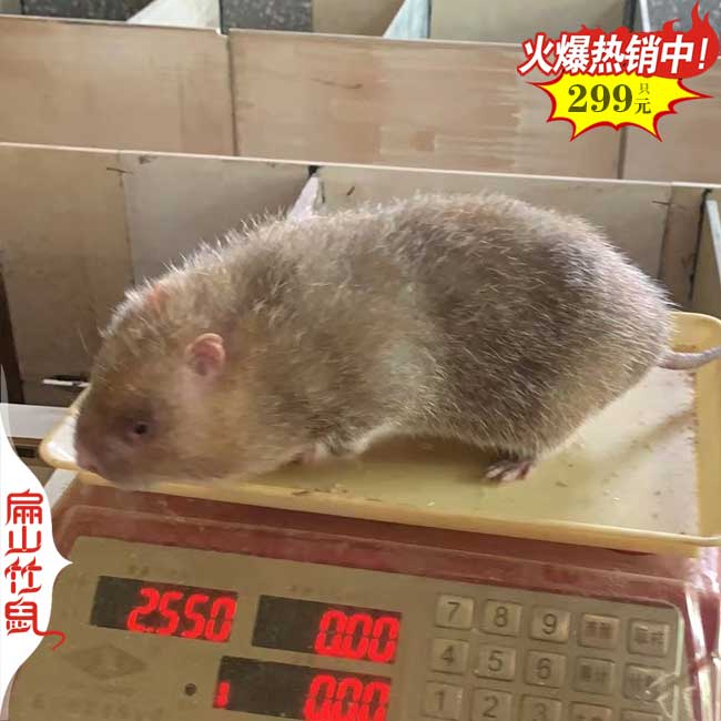 关于《中华人民共和国(图1)