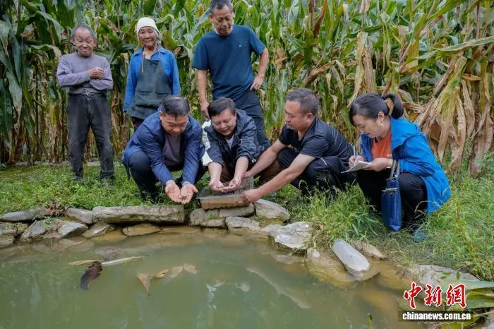 珍稀动物中国小鲵人工辅助繁育项目取得关键进展(图3)