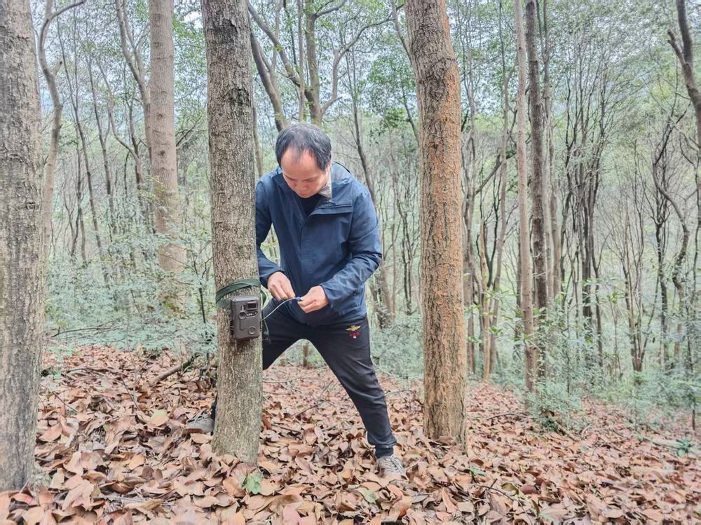 杭州究竟有多少野生动物？这份历时5年调查出的“家底清单”告诉你(图3)