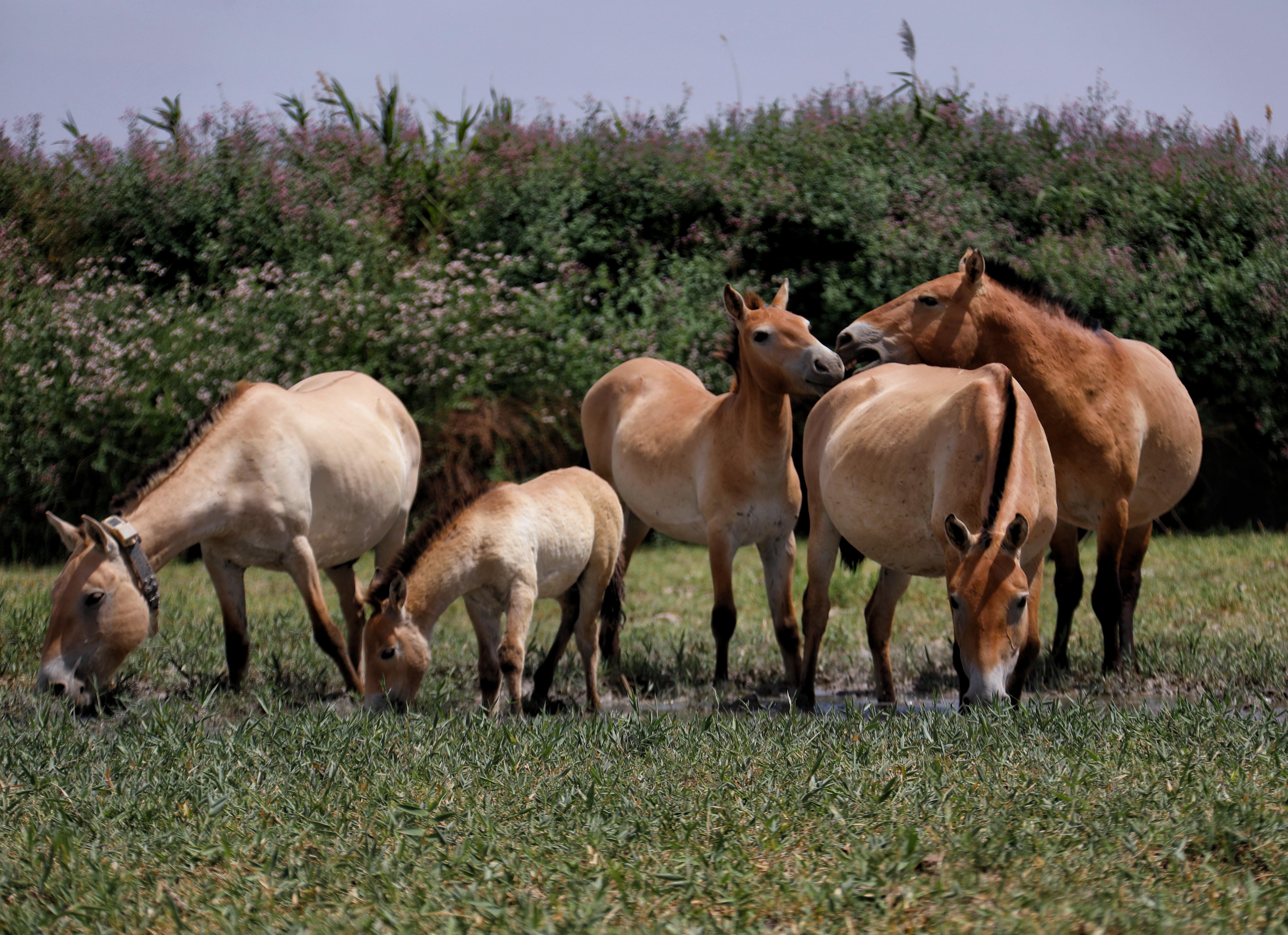 给鱼儿“放产假”给捕捞“立规矩” 我国水生生物资源家底越来越厚(图1)