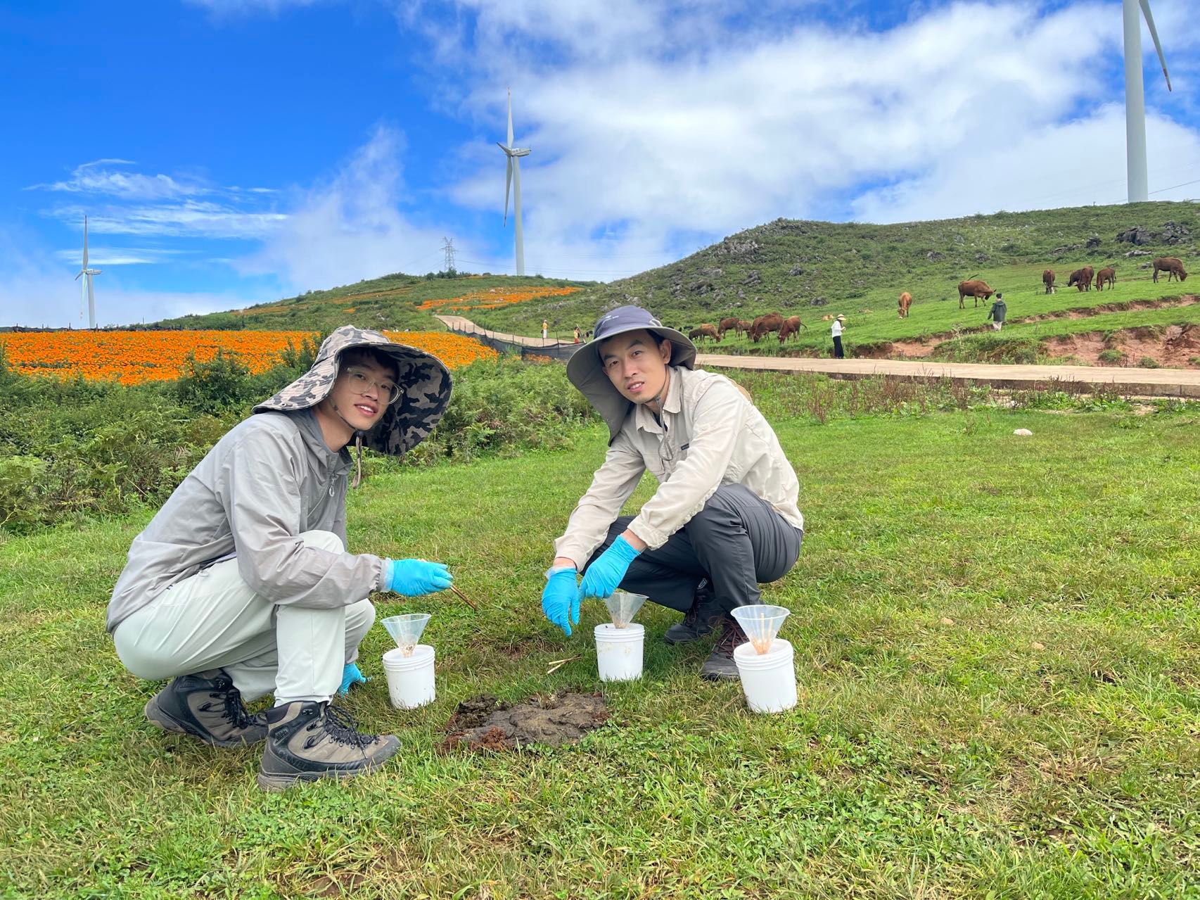线种上海市新记录动植物种(图1)