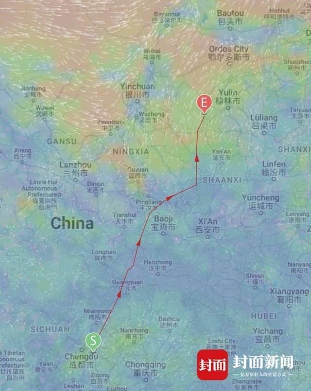 游子总念归乡路 游隼“阳阳”再回蓉获救后第三次在成都越冬｜封面头条(图4)
