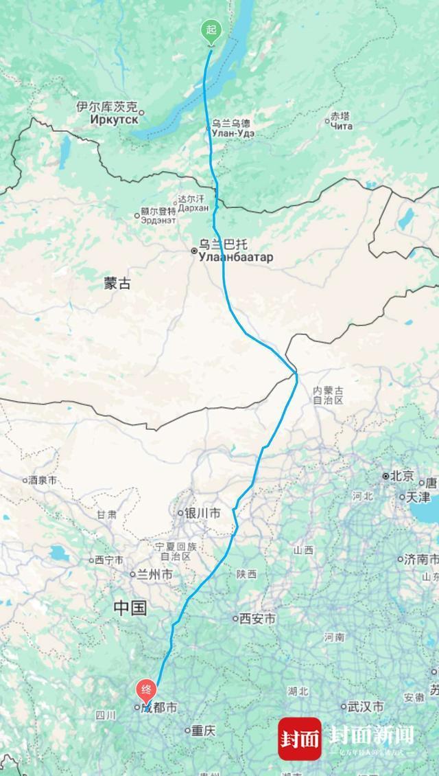 游子总念归乡路 游隼“阳阳”再回蓉获救后第三次在成都越冬｜封面头条(图3)