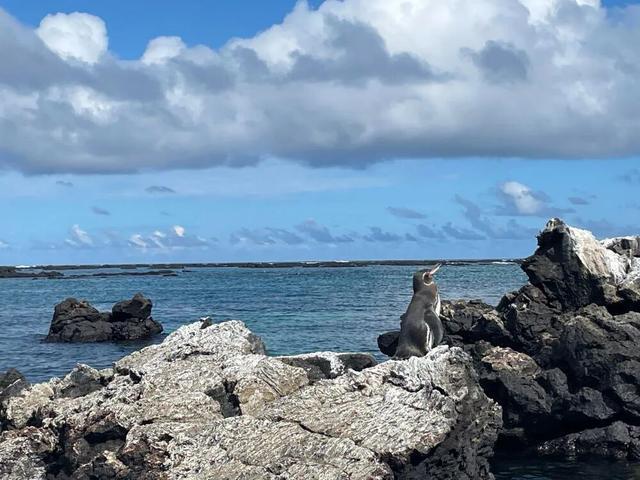 达尔文来了这里后写下《物种起源(图1)