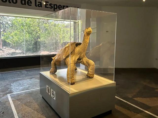 达尔文来了这里后写下《物种起源(图3)