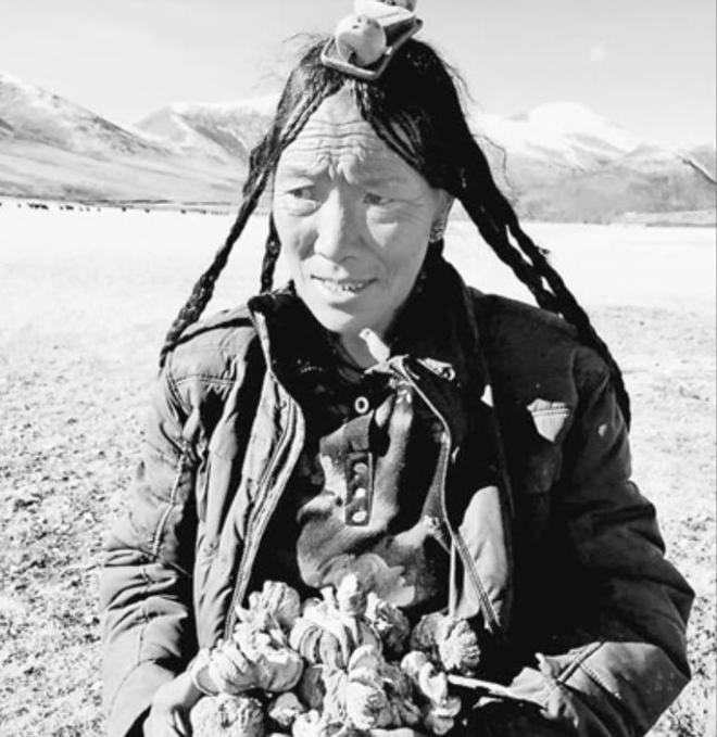 曾被认为已绝种西藏村民70年代捡到1只养大后带十几只回来(图6)