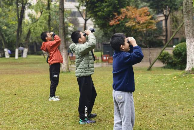 在成都家门口观鸟 127种野生鸟类与我们同处共居(图3)