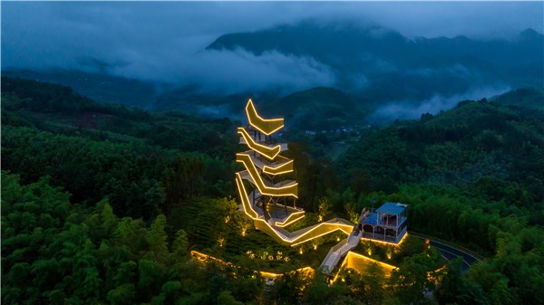 陕州区： “四维发力”让野生动物家园更宜居(图1)