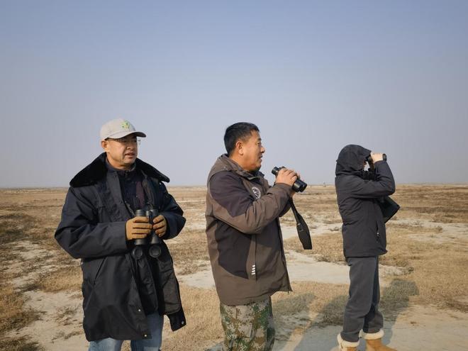 镇赉：三方协同科研巡护 为候鸟南迁保驾护航(图6)