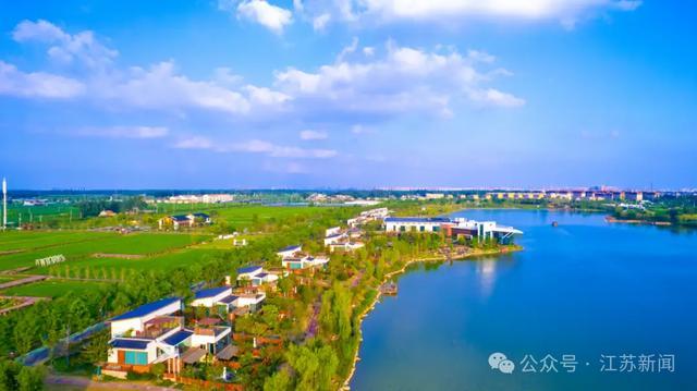 酒店推出幼狮叫醒服务引争议！最新消息(图1)