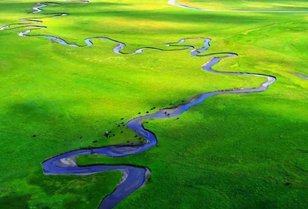 生态环境持续向好保护与发展实现双赢丨聚焦四川“十四五”成就发布·筑牢生态安全屏障(图2)